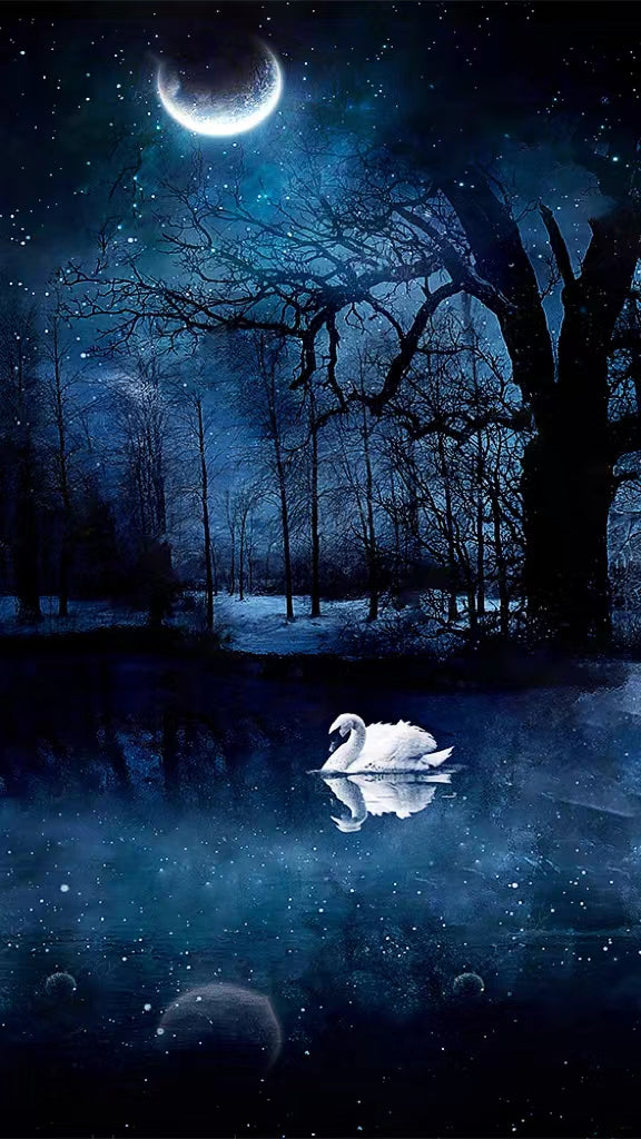 Diamond Painting - Swan Under The Moonlight