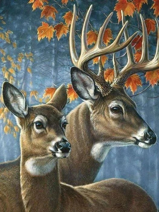 Diamond Painting - Deer