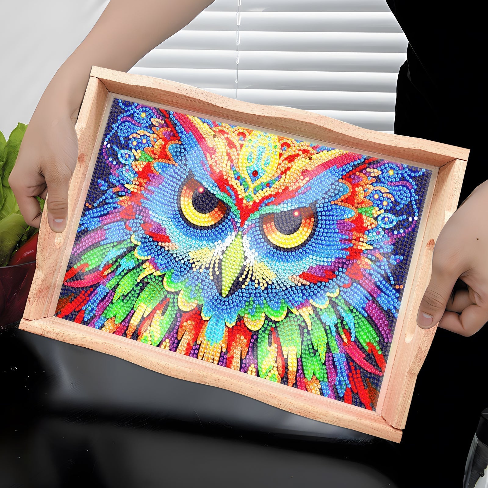 Diamond Painting Wooden Trays With Handle - Owl