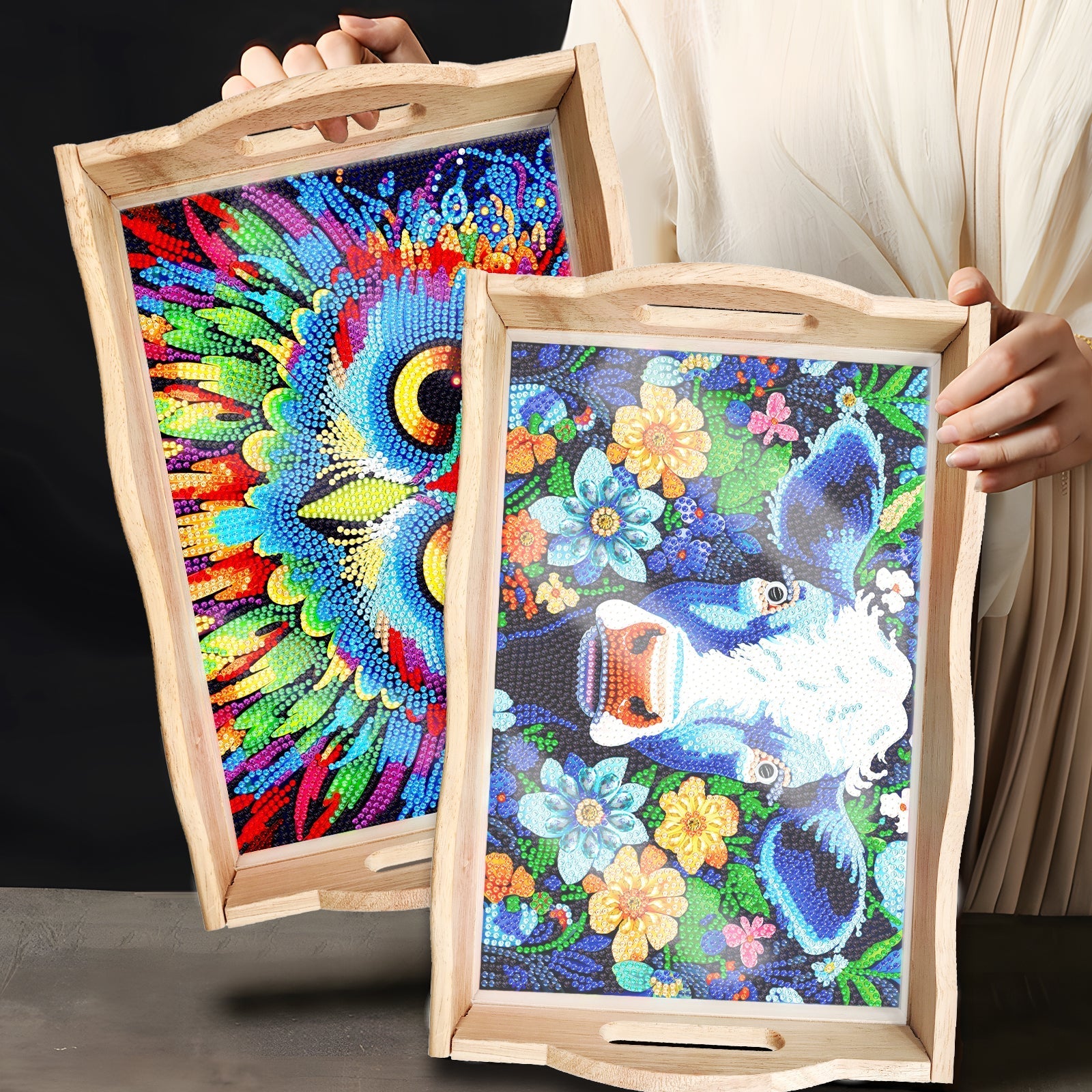 Diamond Painting Wooden Trays With Handle - Owl