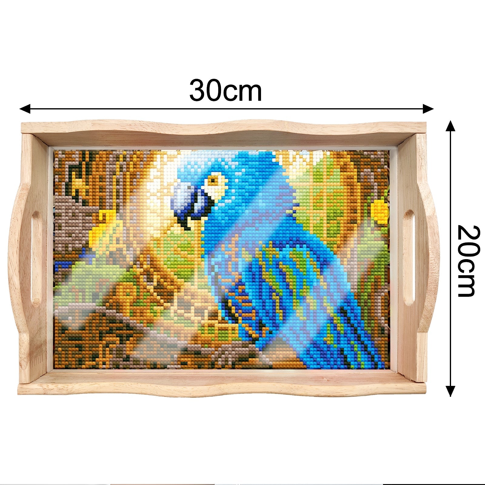 Diamond Painting Wooden Trays With Handle - Parrot